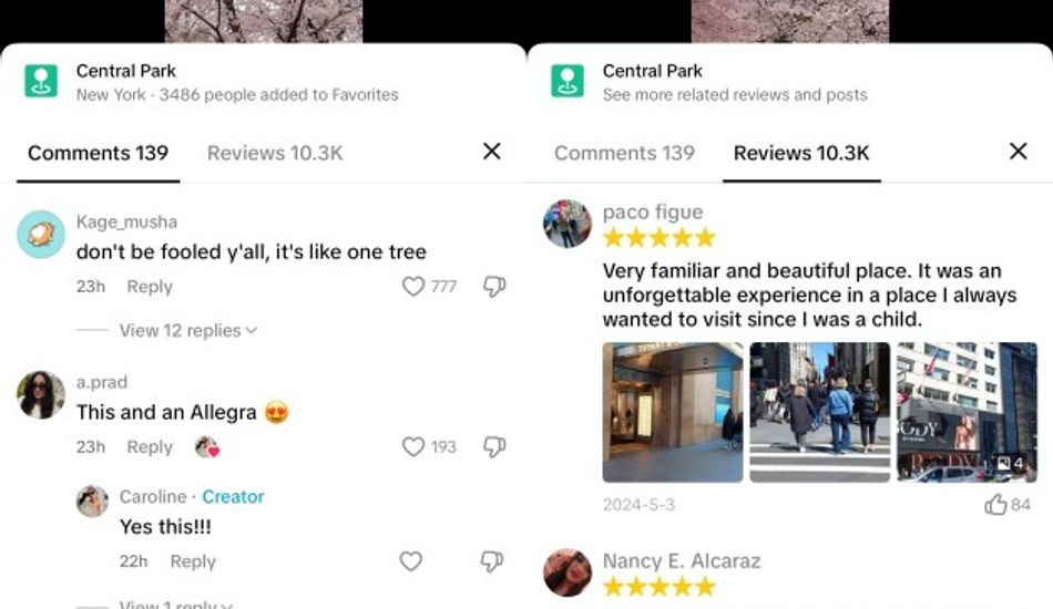 imageTikTok Reviews
