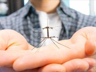 thumbnail - Robotics