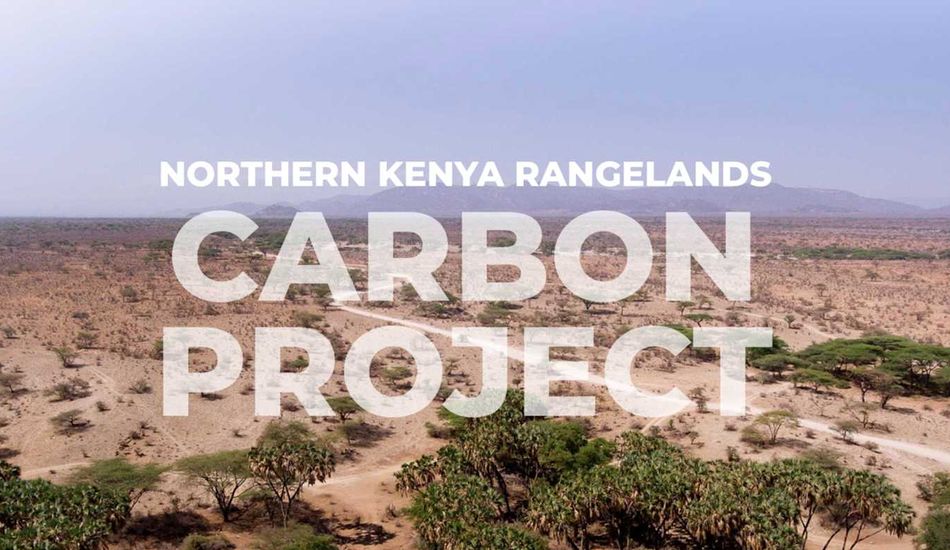 Carbon Credit Dispute