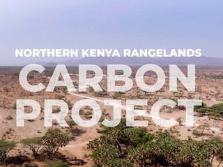 thumbnail - Carbon Credit Dispute