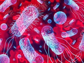 thumbnail - Space Station Bacteria