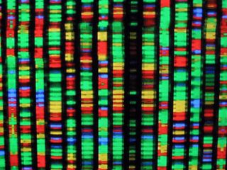thumbnail - Synthetic Genome