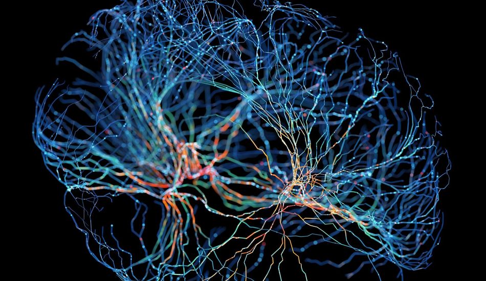 Mind Uploading