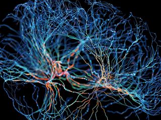 thumbnail - Mind Uploading