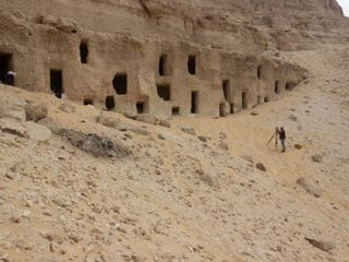 thumbnail - Ancient Genome